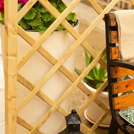 Marisol Grazioso E Vicino Al Mare *