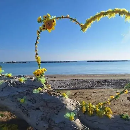 Marisol Grazioso E Vicino Al Mare 포르토 산텔피디오