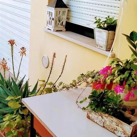 Apartment Marisol Grazioso E Vicino Al Mare Porto SantʼElpidio